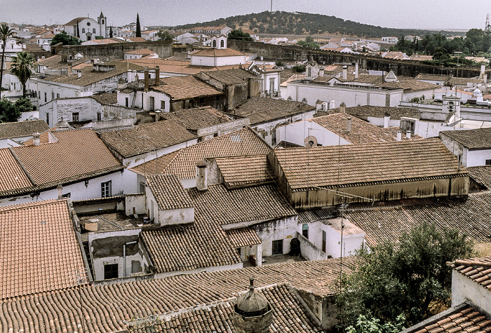 Serpa
