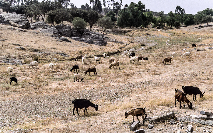 Alentejo