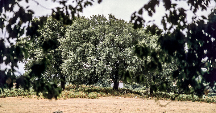 Alentejo