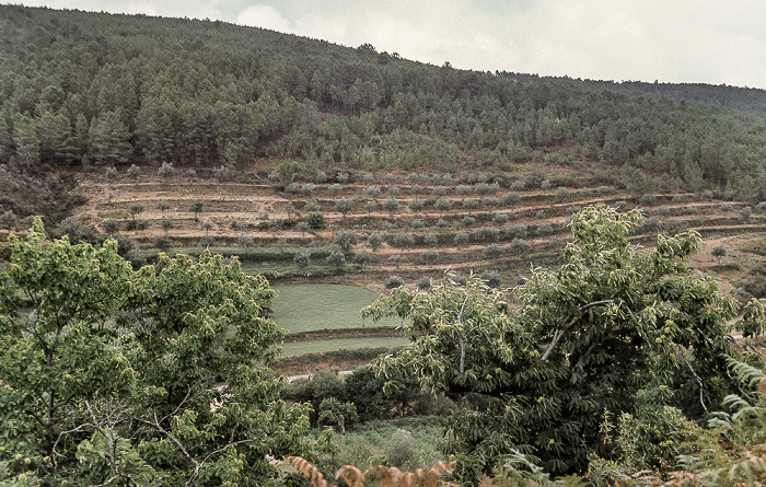 Alentejo