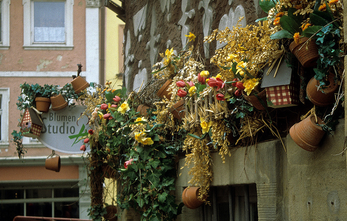 Haus mit Pflanzenschmuck Bamberg