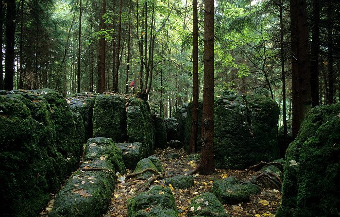 Wohlmannsgesees Druidenhain