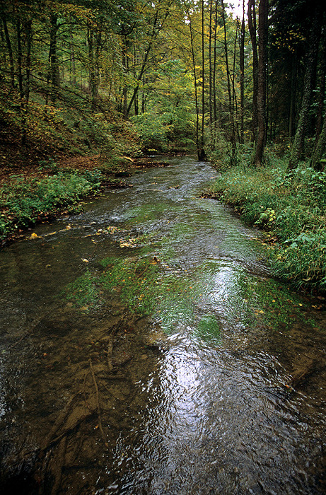 Püttlachtal Pottenstein