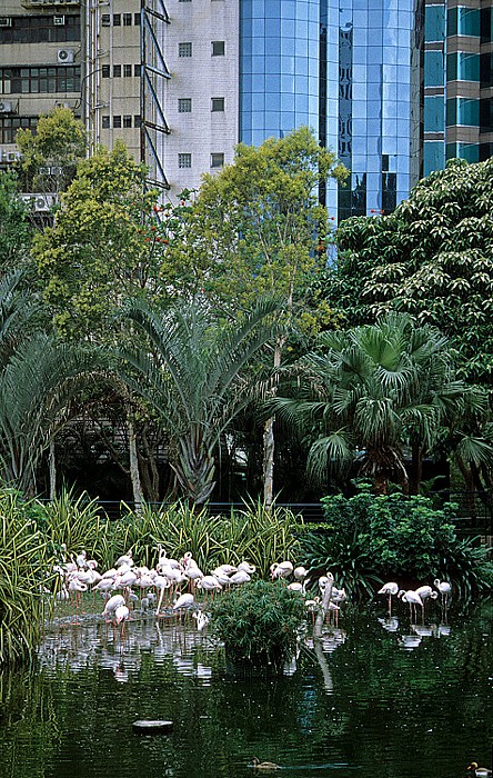 Kowloon: Kowloon Park Hongkong