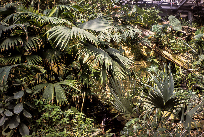 Botanischer Garten Osnabrück