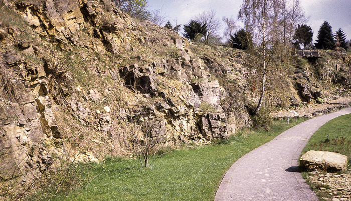 Osnabrück Botanischer Garten