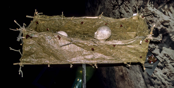 EXPO 2000: Themenpark Basic Needs Hannover