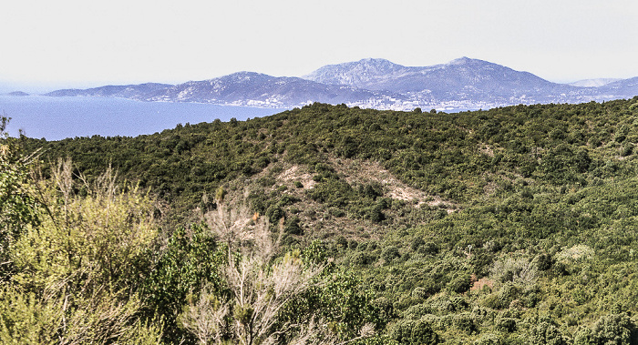 Arrondissement d'Ajaccio