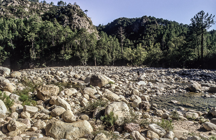La Solenzara Arrondissement de Corte