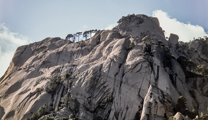 Arrondissement de Corte