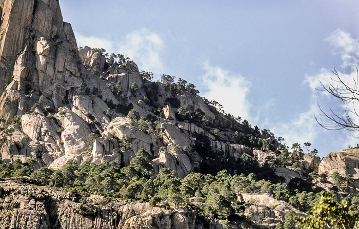 Arrondissement de Corte