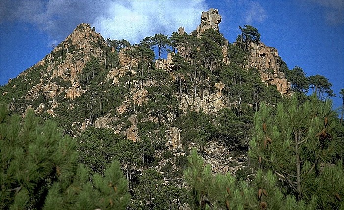 Solenzara-Tal Bewaldeter Berggipfel