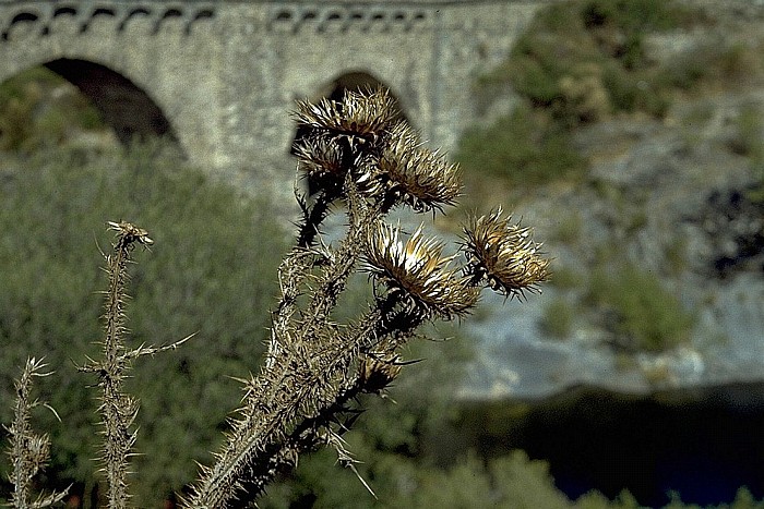 Tavignano-Tal Distel