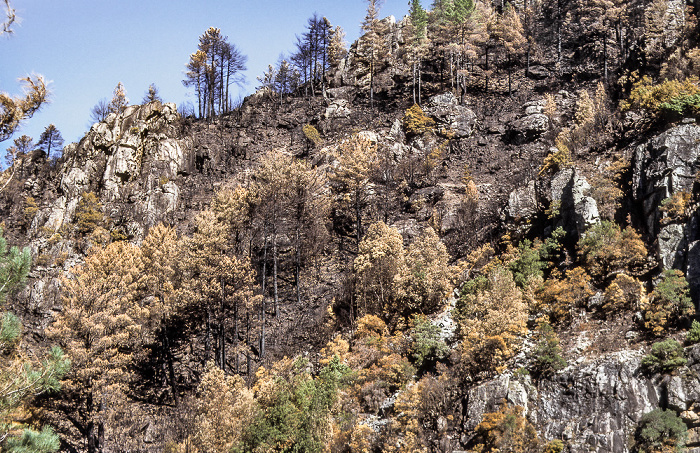 Arrondissement de Corte