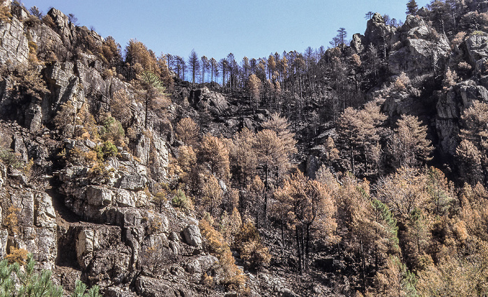Arrondissement de Corte