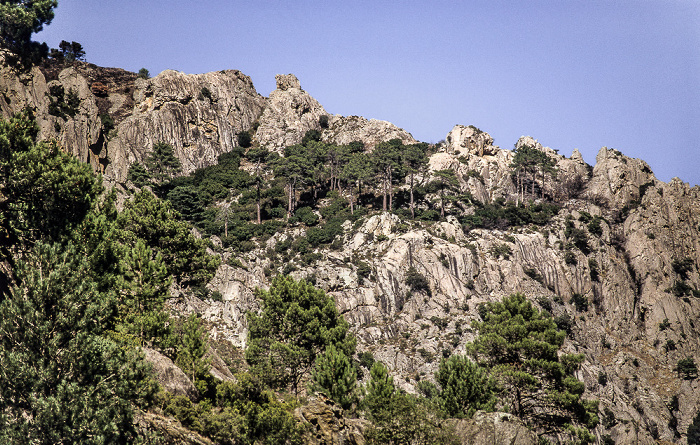 Gorges de la Restonica