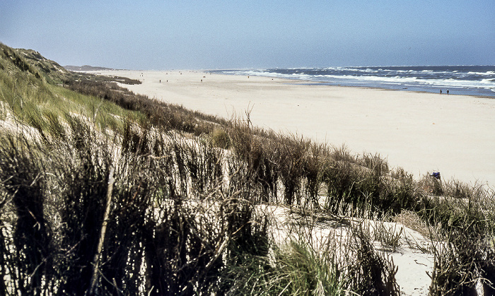 Borkum