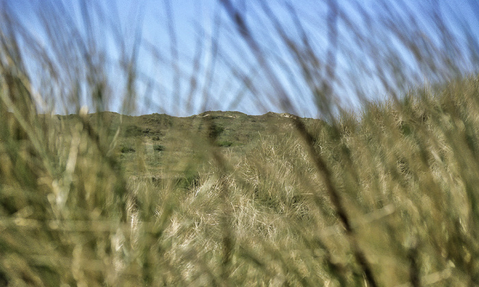 Borkum