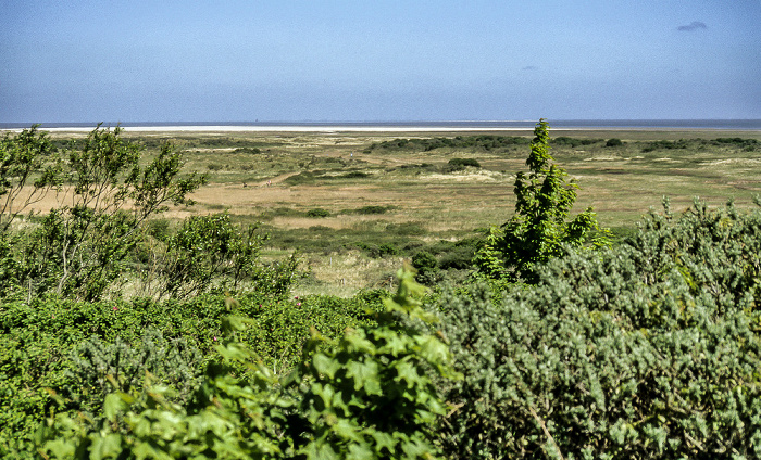 Borkum