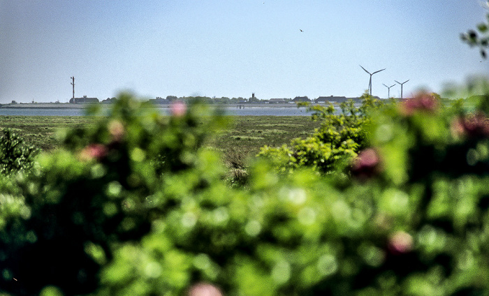 Sternklippendünen: Blick auf Ostland und Borkum Borkum