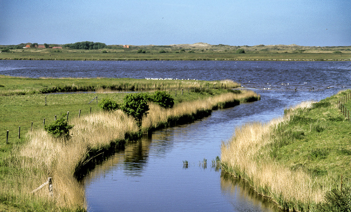 Borkum