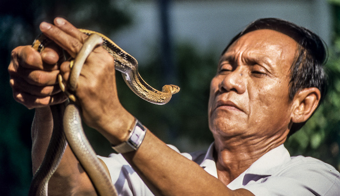Schlangenfarm Bangkok