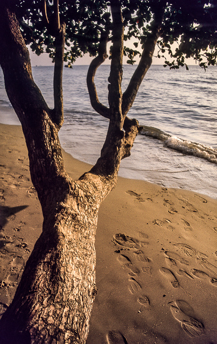 Ko Chang White Sand Beach