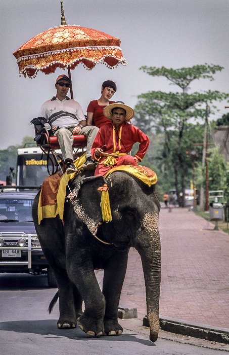 Ayutthaya Historical Park: Elefant mit Touristen Ayutthaya