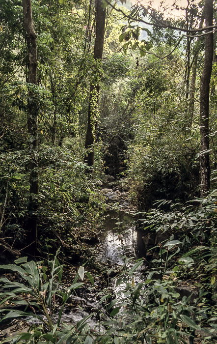 Doi Inthanon-Nationalpark