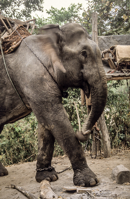 Doi Inthanon-Nationalpark