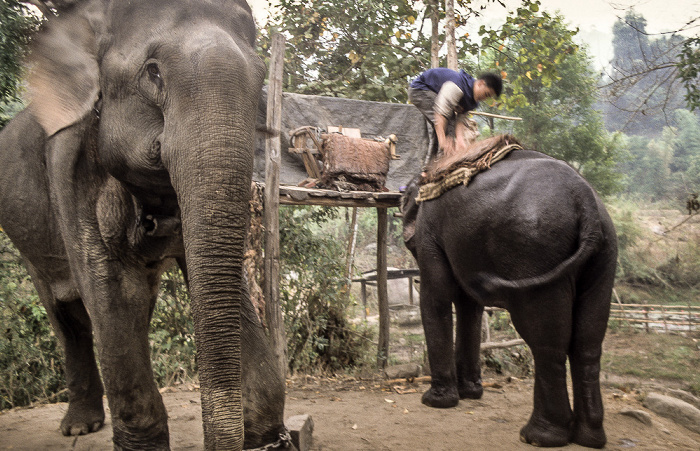 Doi Inthanon-Nationalpark