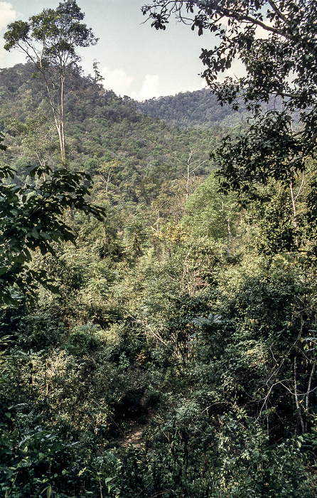 Doi Inthanon-Nationalpark