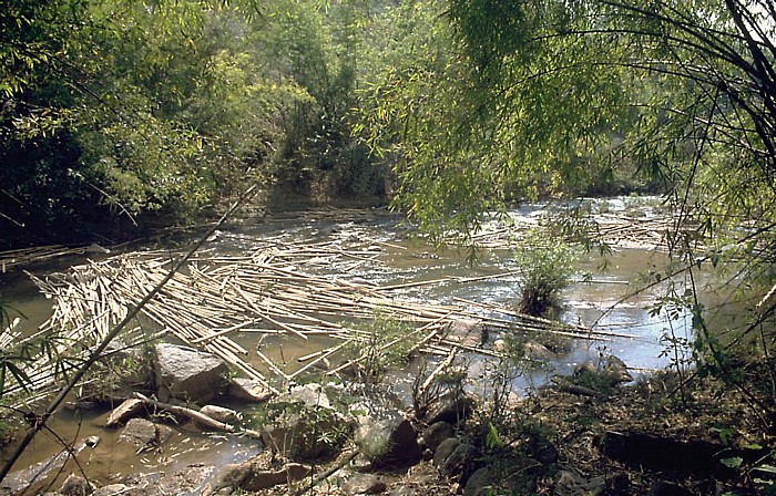 Doi Inthanon-Nationalpark Bambusstämme im Fluss (ehemalige Flöße)