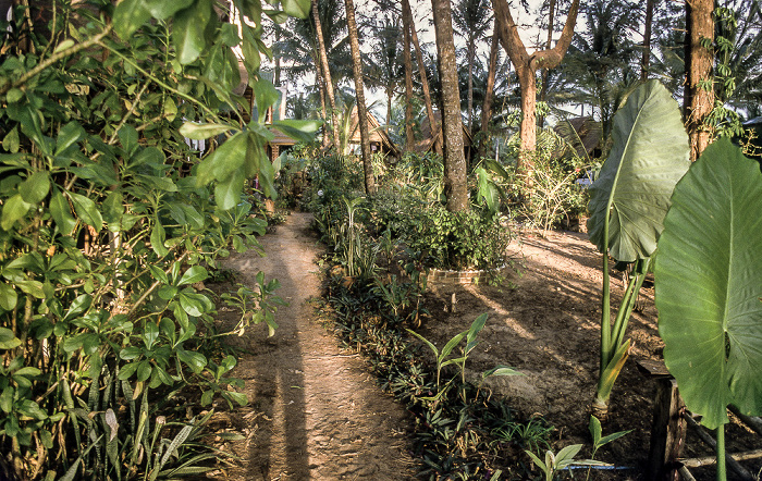 Mai's Quiet Zone  Khao Lak