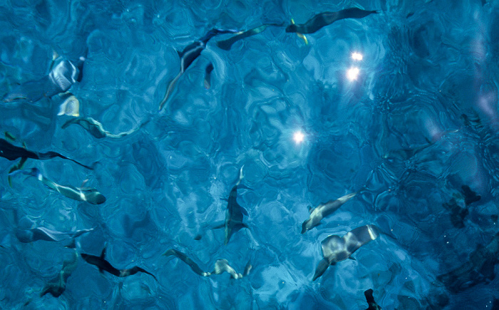 Andamanensee Nationalpark Mu Ko Similan