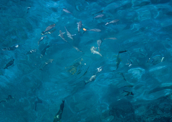Andamanensee Nationalpark Mu Ko Similan