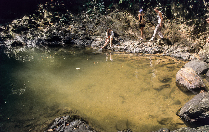 Namtok Raman Forest Park Takua Thung