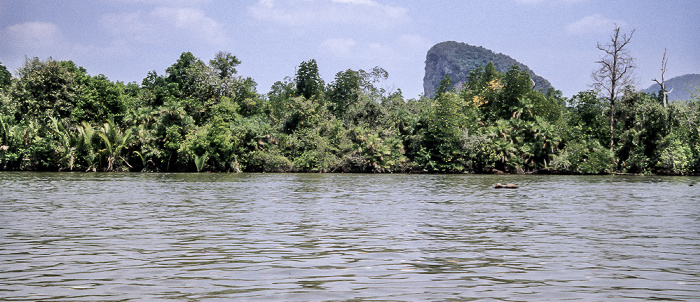Andamanensee Phang Nga-Bucht