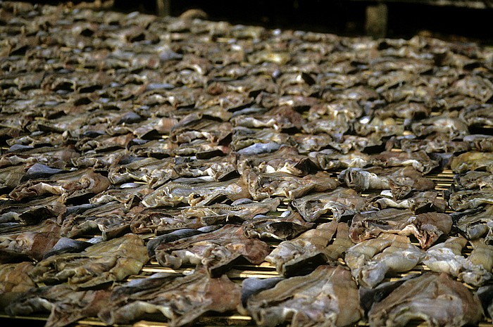 Zum Trocknen ausgelegter Fisch Chau Doc