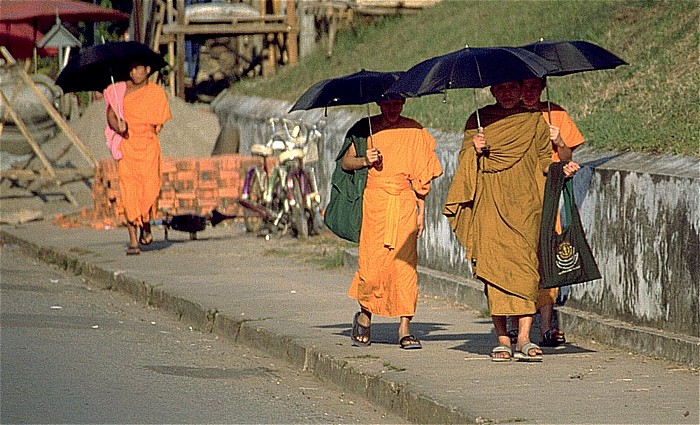Luang Prabang Mönche mit Sonnenschirm