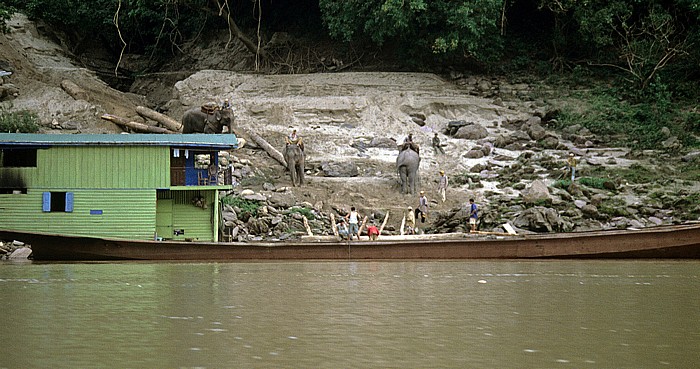Mekong Arbeitselefanten beim Beladen eines Transportschiffes