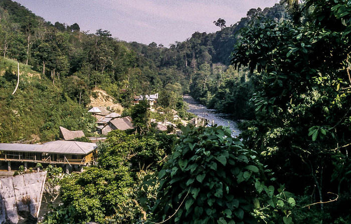 Bohorok Bukit Lawang