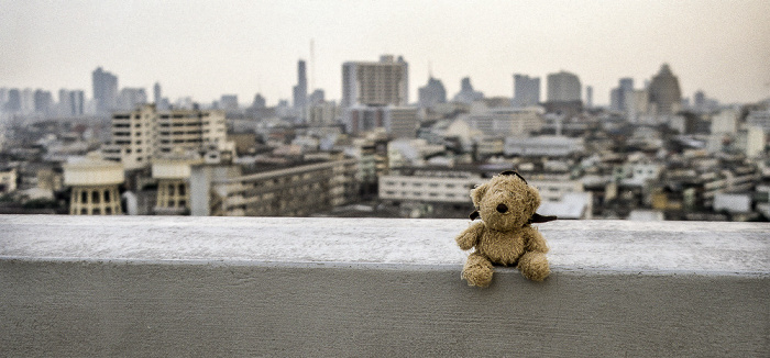 Bangkok Golden Mount: Teddy