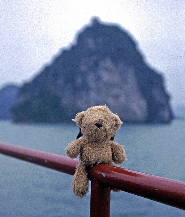 Halong Bay Teddy