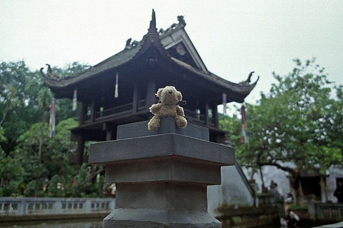 Hanoi Einsäulenpagode: Teddy