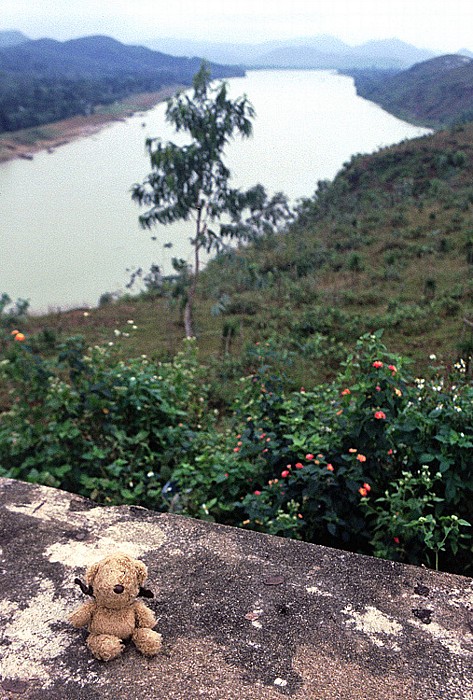 Hue Bunker Hill: Teddy Parfüm-Fluss