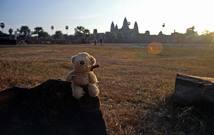 Angkor Wat: Teddy