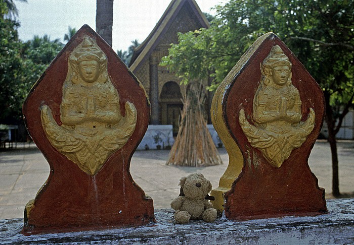Luang Prabang Teddy