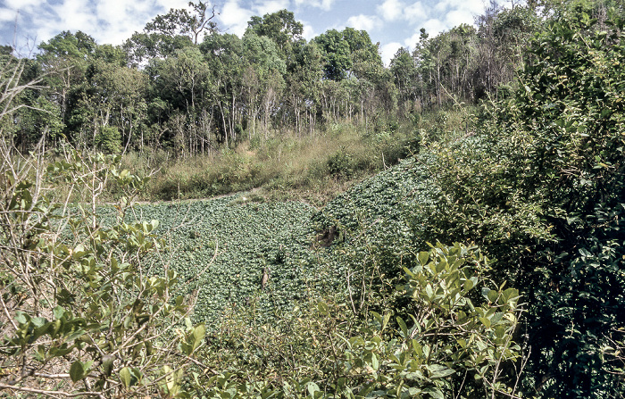 Doi Inthanon-Nationalpark