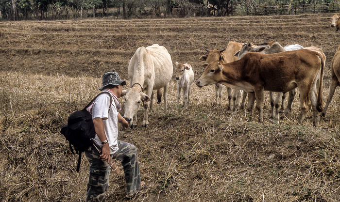 Doi Inthanon-Nationalpark